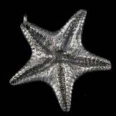 J18 Starfish-Pendant